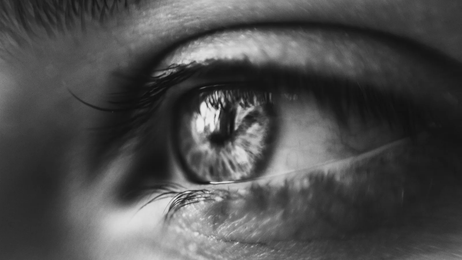 Un regard qui observe et situe son environnement