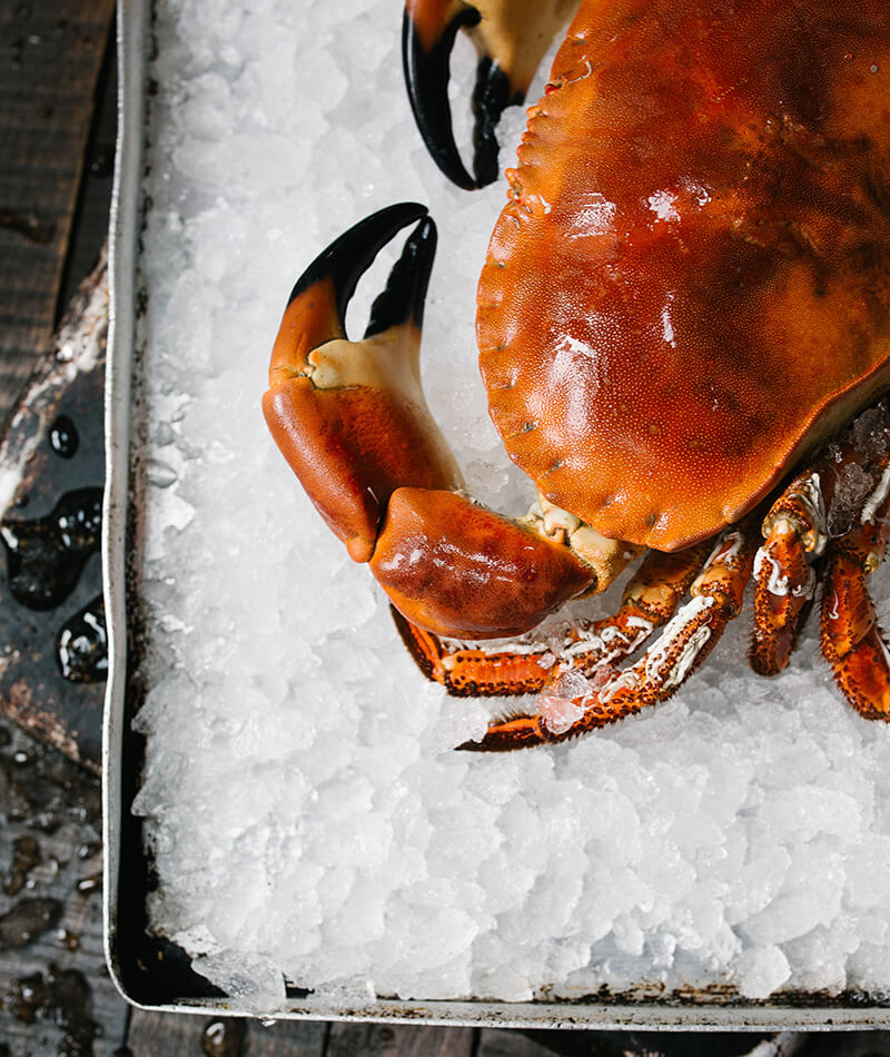 seafood restaurant 36